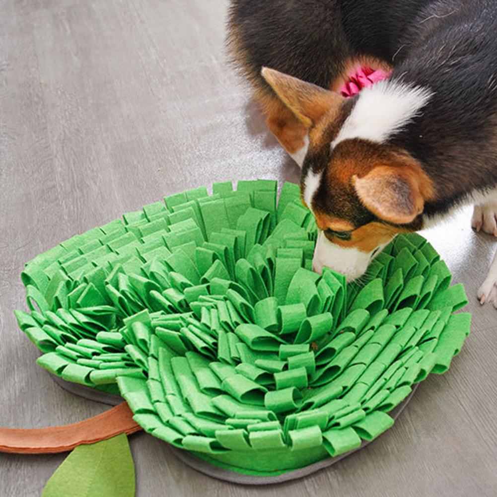 Pentru Durabil câine alimentare mat eco-friendly simțit pânză rezistentă la  rupere câinele adulmeca pad accesorii pentru animale de companie > Home &  Garden / Labordiagnosticatm.ro