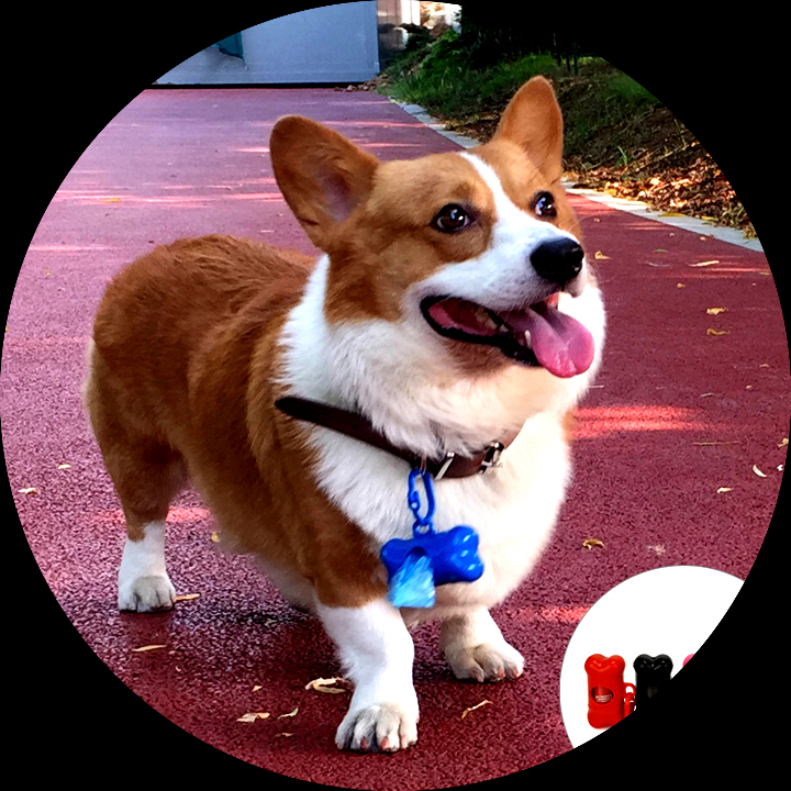 20 Role Eco Friendly Câine De Companie Caca Sac În Aer Liber Biodegradabile  Rahat De Câine, Geanta De Dezodorizare Pisică Câine Sac De Gunoi  Consumabile Pentru Animale De Companie La reducere! /